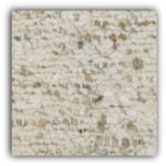 Holi: Driftwood -  Carpet
