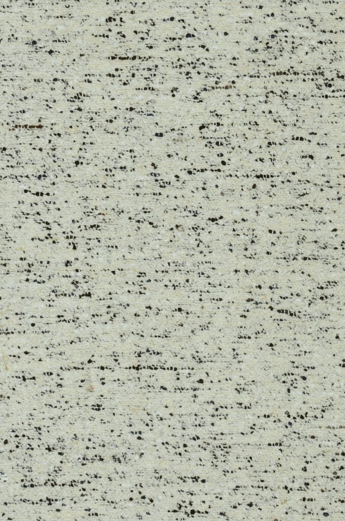 Silver Birch