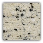 Holi: Silver Birch -  Carpet